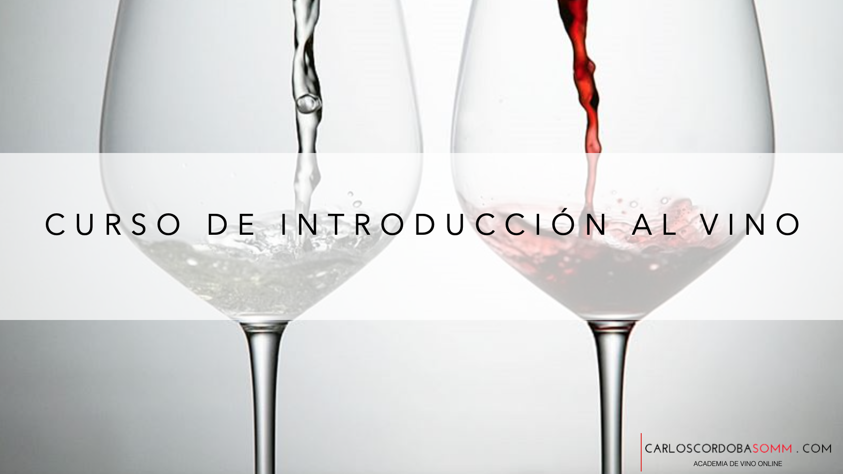 Curso de introducción al vino