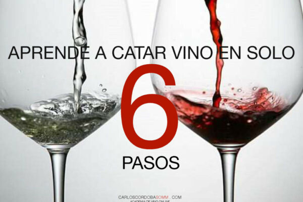 Aprende a catar vino en solo 6 pasos